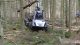 low impact logging with malwa 560F forwarder