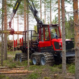 New World Record In Forest Tree Planting - NordicWoodJournal