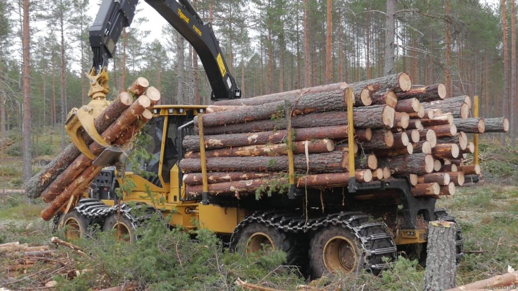 1085C Forwarder loading timber