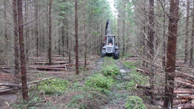 vimek forwarder at strip road