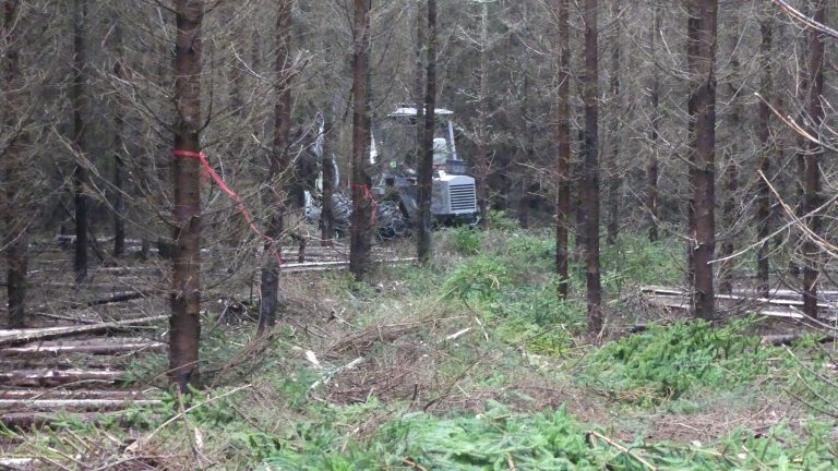 vimek harvester makes slash bedding