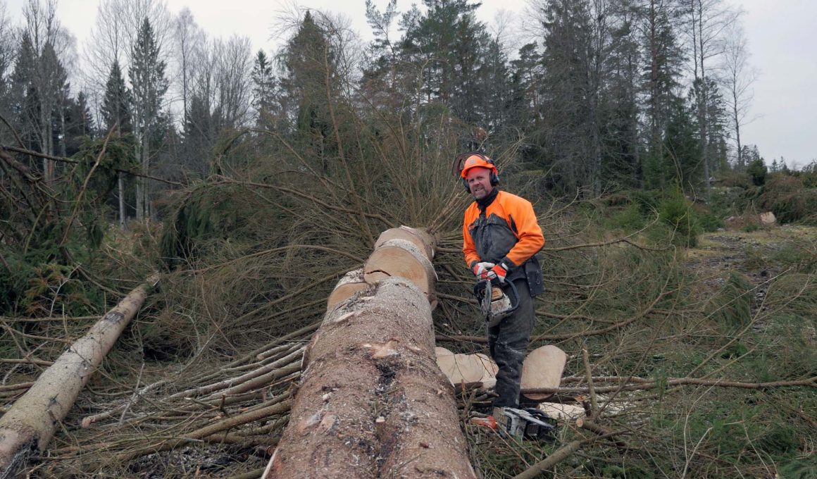 The MS 500i Chainsaw Revealed