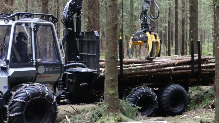 malwa 560F forwarder