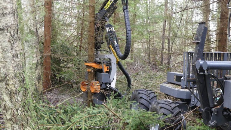 usewood harvesting small trees