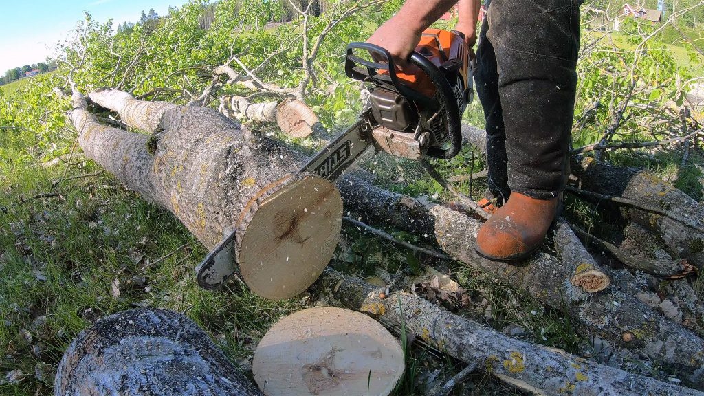 Cookie Cutting with the Stihl MS 500i