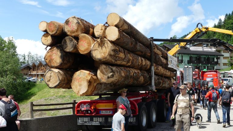 skidder lescognees full tree trunks