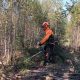 Testing Husqvarna 535ifr proffessionally in young forest