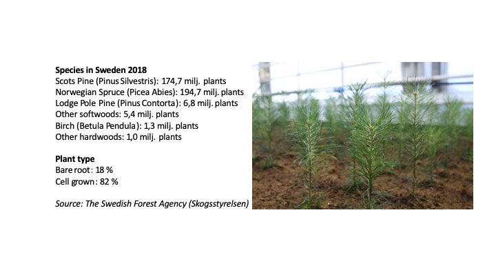 tree-species-sweden-2018