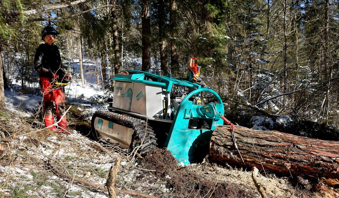 Pfanzelt presents a new Moritz - NordicWoodJournal