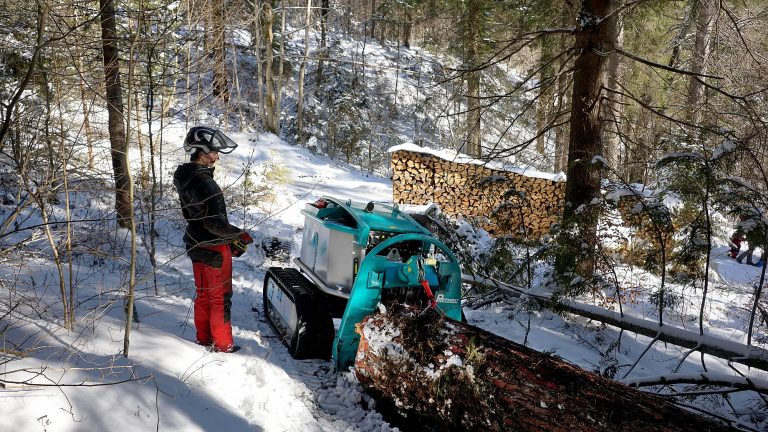 Moritz fr 75 skidder