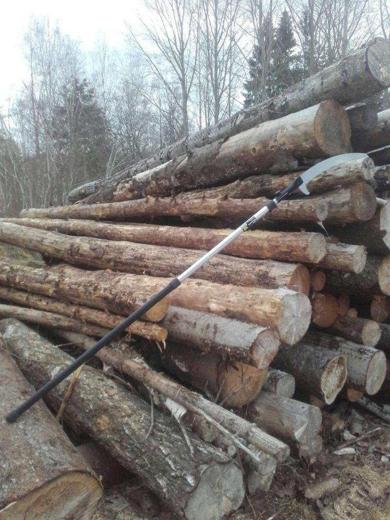 Chainsaw license How to get it in three days NordicWoodJournal