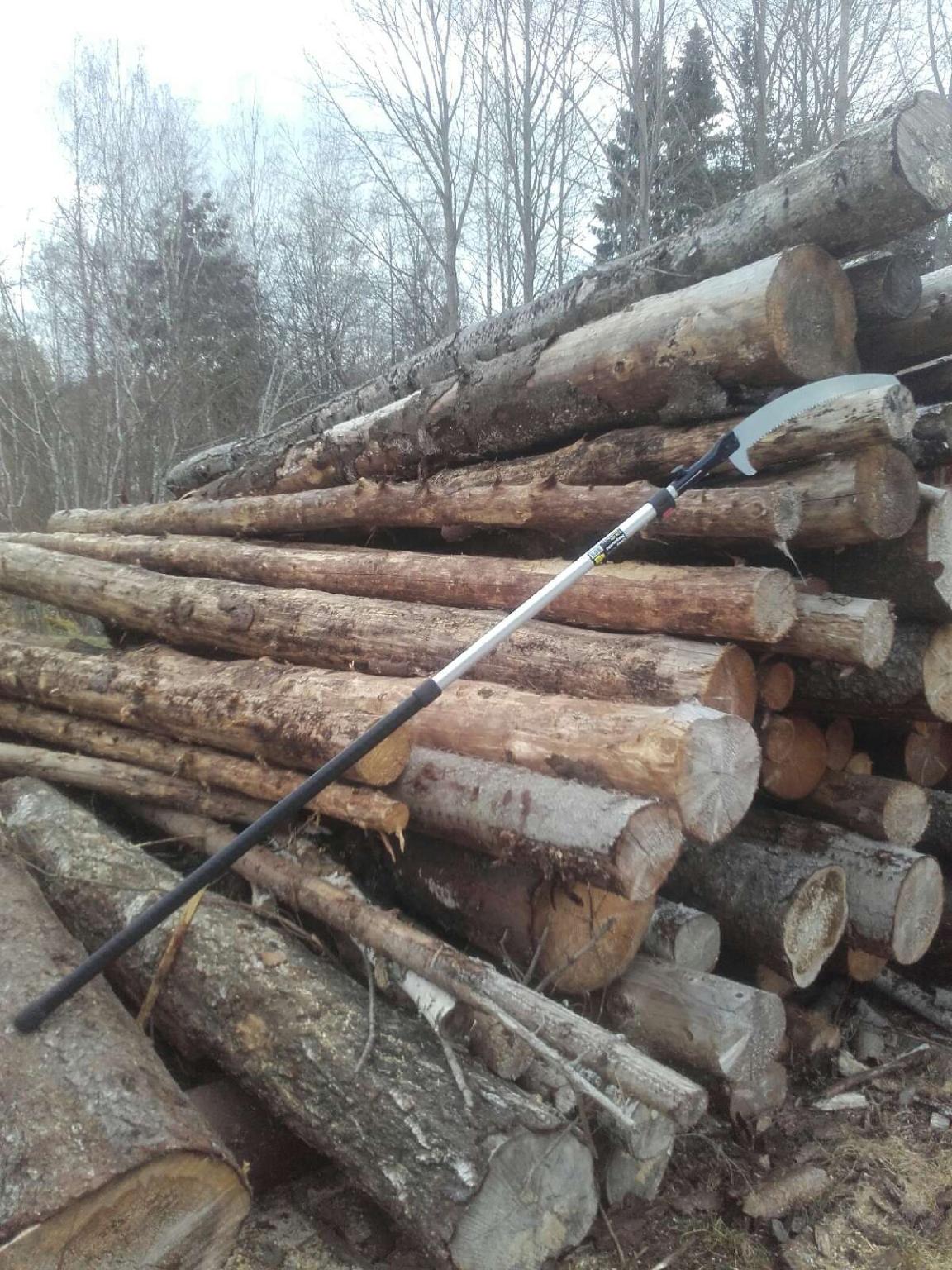 Chainsaw license How to get it in three days NordicWoodJournal