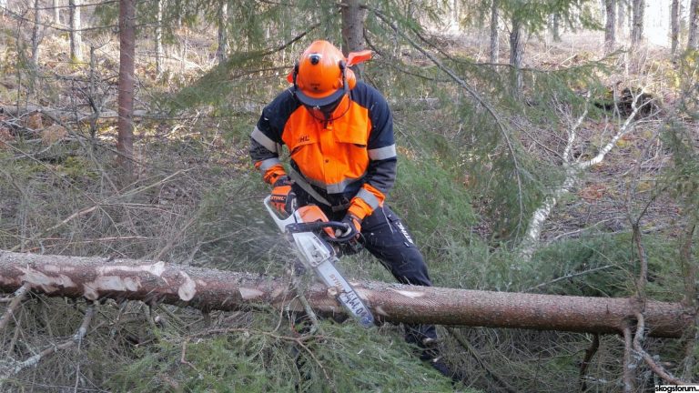 Stihl light04 pro chains test