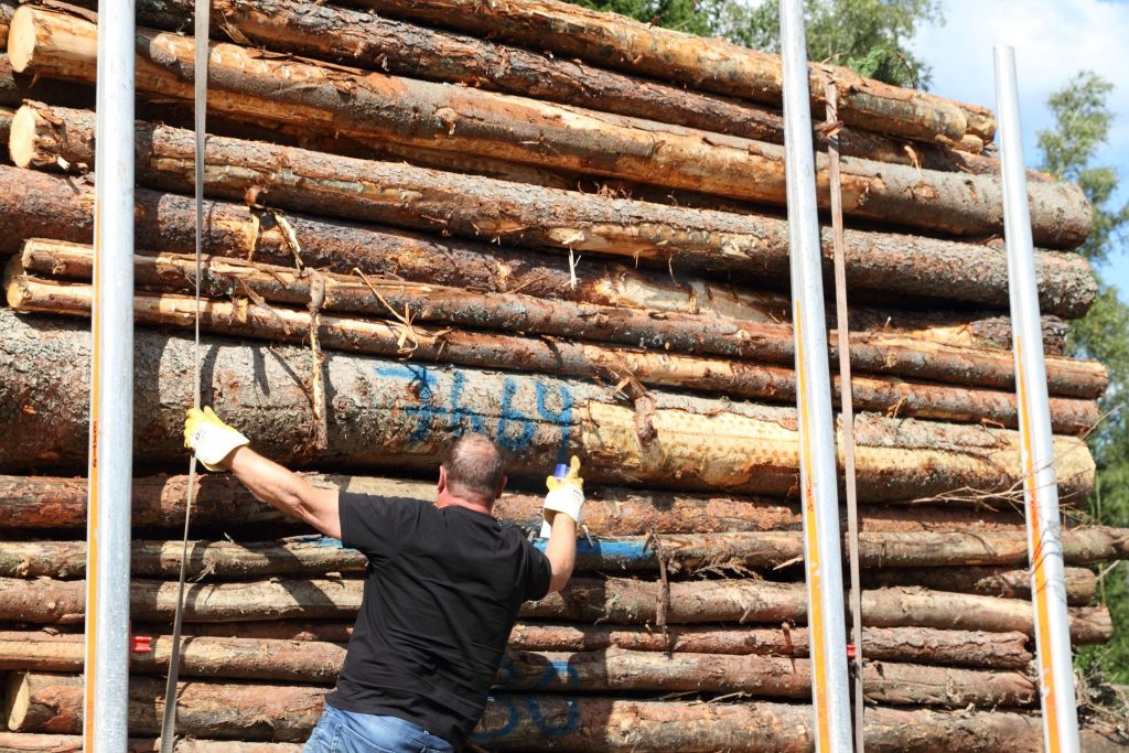 timber trucking