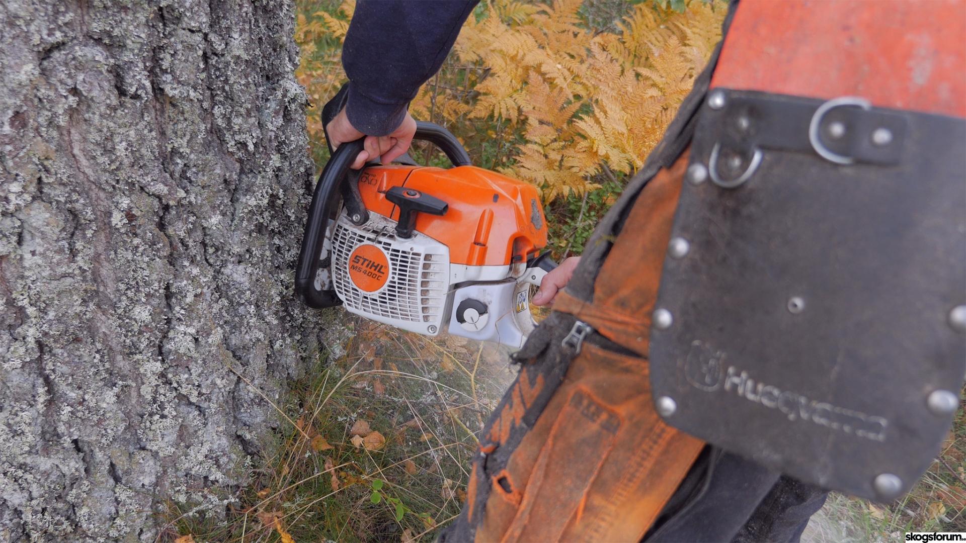 Stihl MS 400 C – Test! - NordicWoodJournal