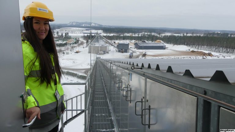 combined heating and power plant