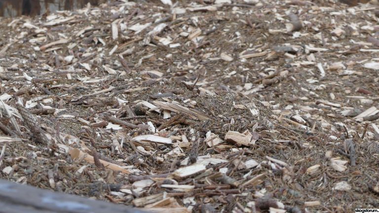 combined heating and power plant