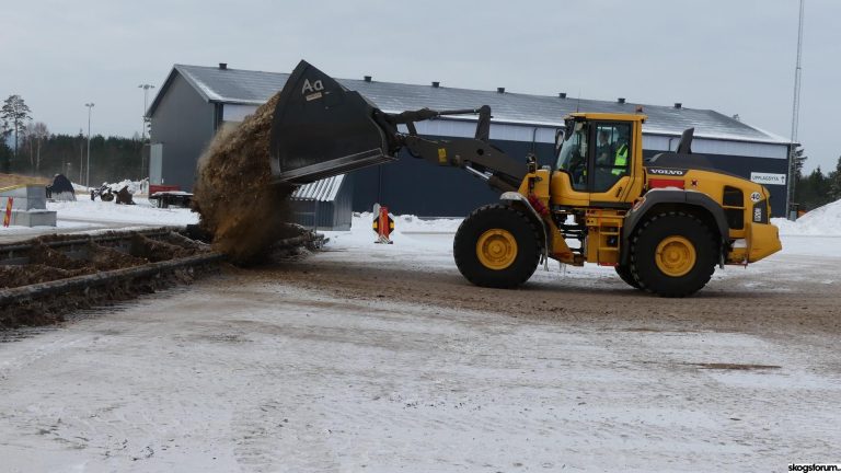 combined heating and power plant
