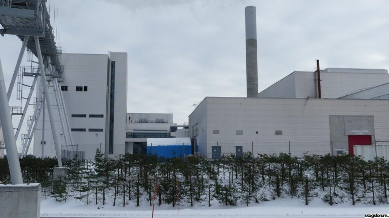 combined heating and power plant