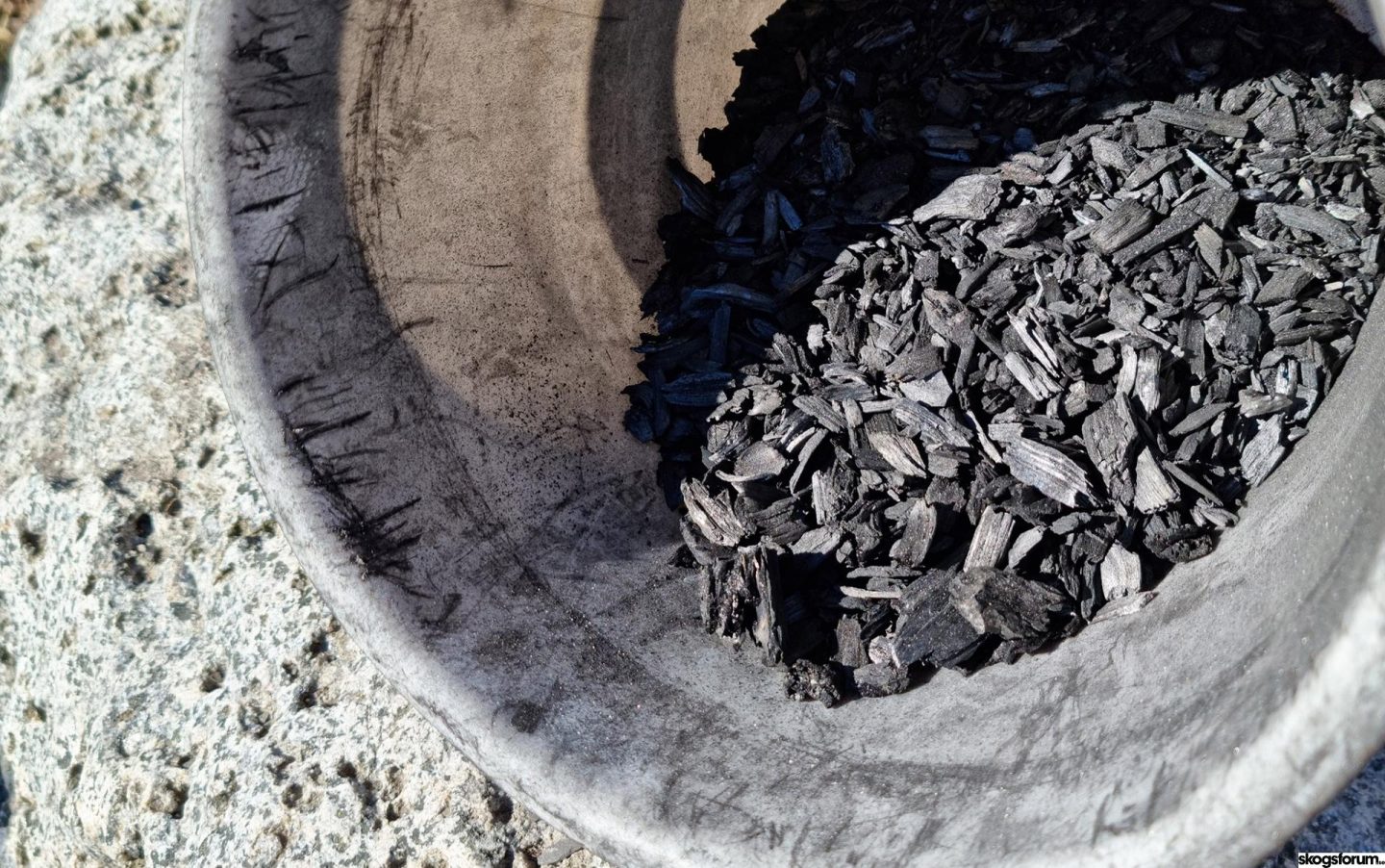 Pioneers on biochar – visit to a biochar production farm ...