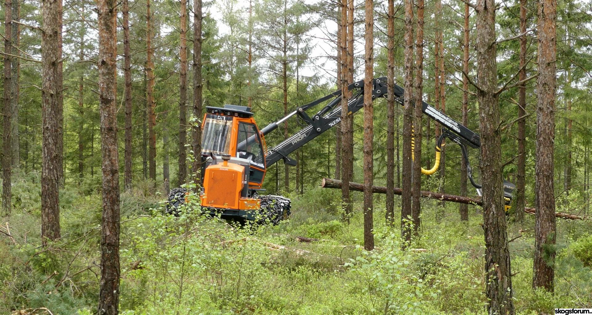 Swedish made Profi 54