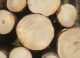 Austrian timber prices