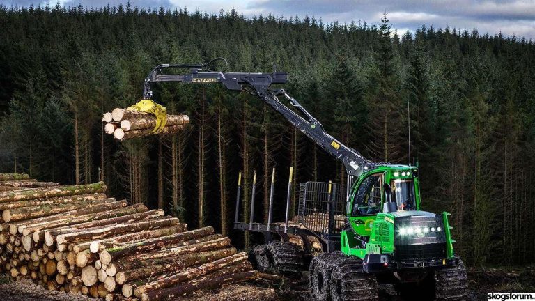 The forwarder market
