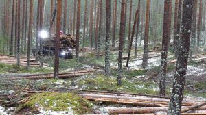 Vimek presents a new forwarder