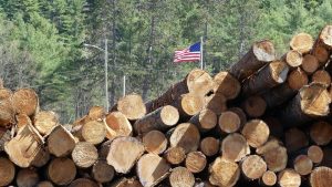 USA raises duty rate for Canadian lumber