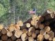 USA raises duty rate for Canadian lumber