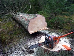 Logging season is here