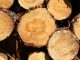 Timber prices vs. lumber prices