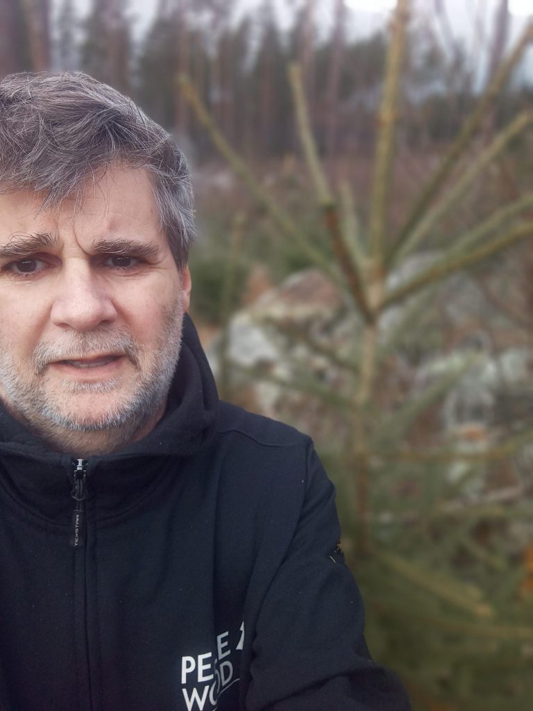 The story of a spruce plant