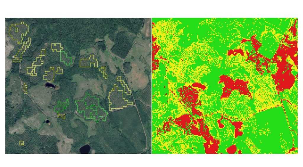 How does the harvested forest area correspond between JRC and Swedish Laser Data