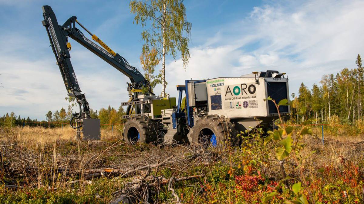 Autoplant – running for the first time - NordicWoodJournal