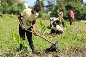 Stihl expands partnership with Fairventures