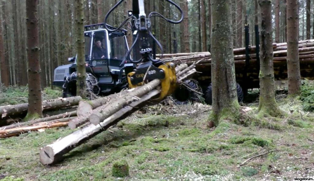 Good market for small forwarders