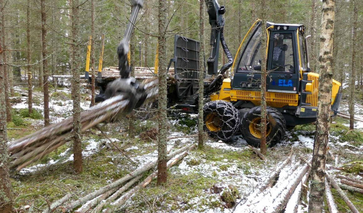 Eco Log 1050F in young thinning – the last 10-tonner? - NordicWoodJournal