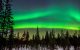 Boreal forest with Aurora Borealis on the sky.