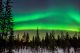 Boreal forest with Aurora Borealis on the sky.